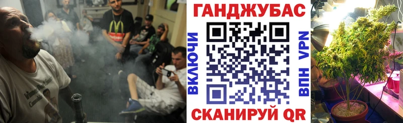 Канабис конопля  купить наркоту  Мурино 